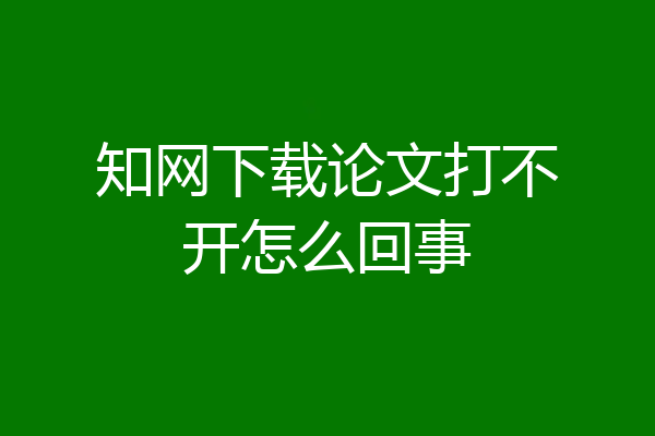 知网下载论文打不开怎么回事