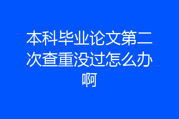 本科毕业论文第二次查重没过怎么办啊