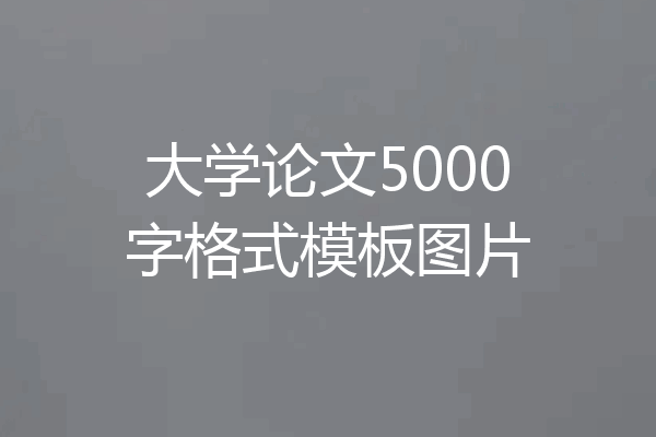 大学论文5000字格式模板图片