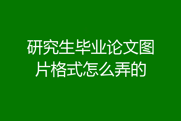 研究生毕业论文图片格式怎么弄的