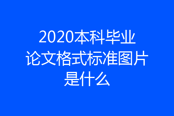 2020本科毕业论文格式标准图片是什么