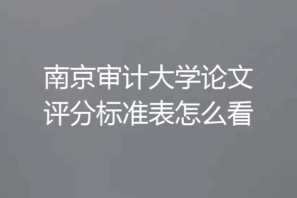 南京审计大学论文评分标准表怎么看