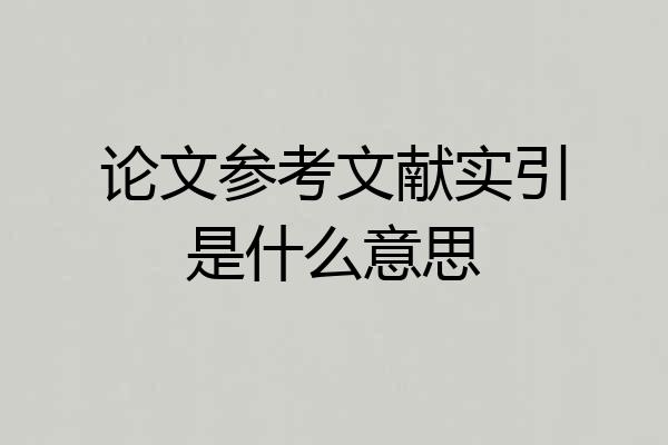 论文参考文献实引是什么意思