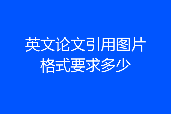 英文论文引用图片格式要求多少