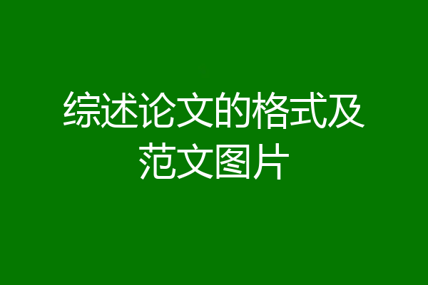 综述论文的格式及范文图片