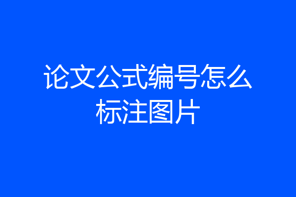 论文公式编号怎么标注图片
