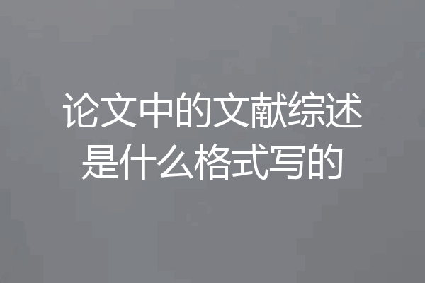 论文中的文献综述是什么格式写的