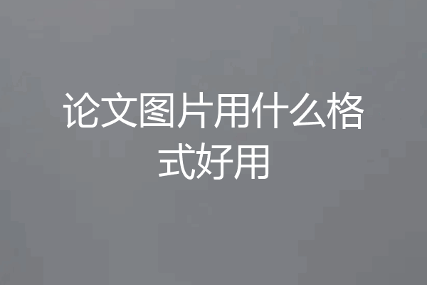 论文图片用什么格式好用