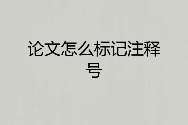 论文怎么标记注释号