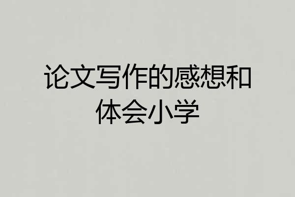 论文写作的感想和体会小学