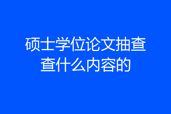 硕士学位论文抽查查什么内容的