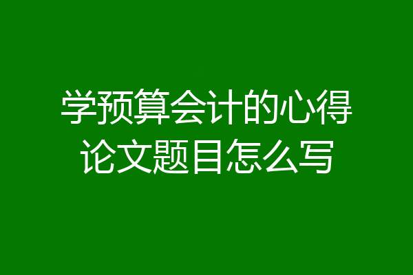 学预算会计的心得论文题目怎么写