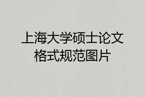 上海大学硕士论文格式规范图片