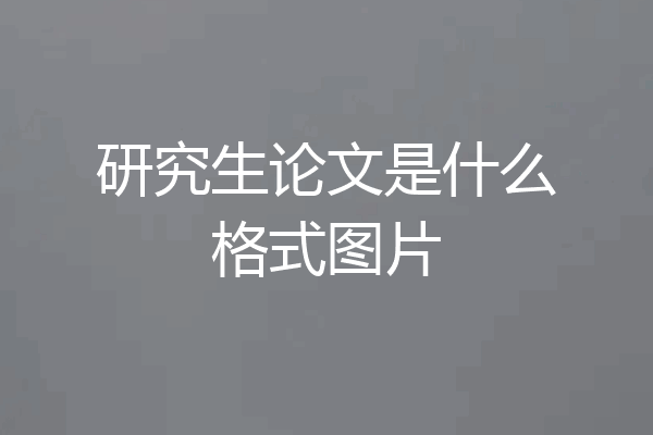 研究生论文是什么格式图片