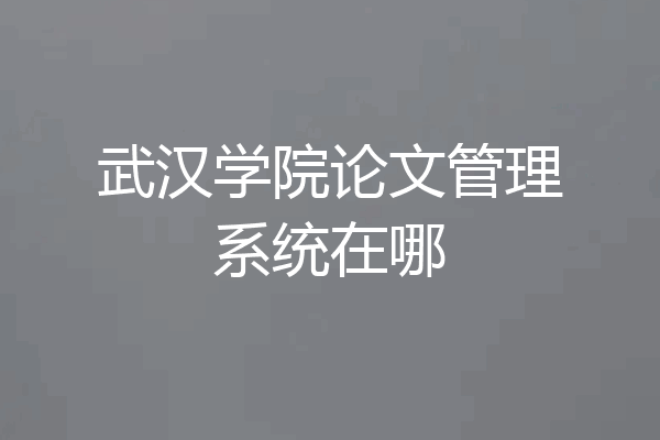 武汉学院论文管理系统在哪