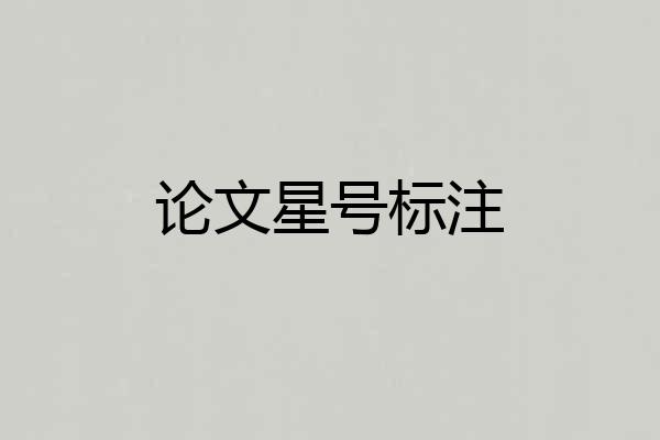 论文星号标注