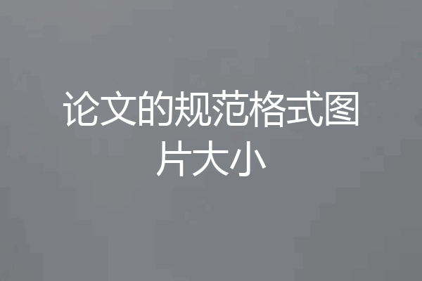 论文的规范格式图片大小