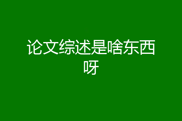 论文综述是啥东西呀