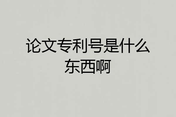 论文专利号是什么东西啊