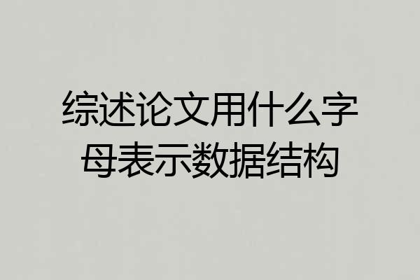 综述论文用什么字母表示数据结构
