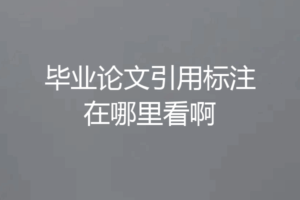 毕业论文引用标注在哪里看啊
