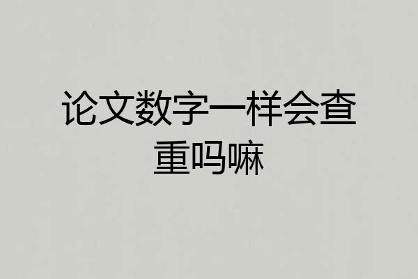 论文数字一样会查重吗嘛