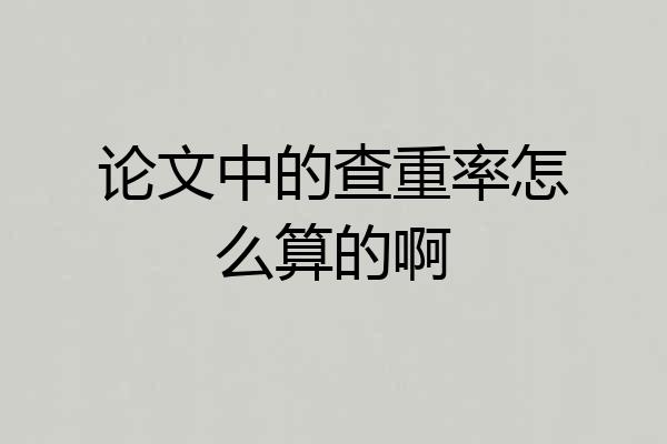 论文中的查重率怎么算的啊