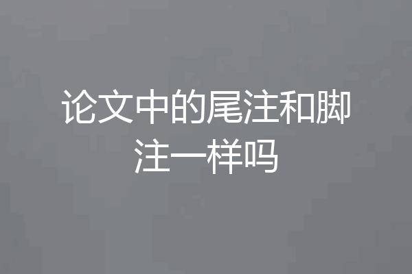 论文中的尾注和脚注一样吗