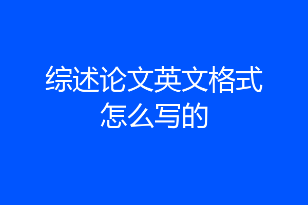 综述论文英文格式怎么写的
