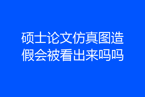 硕士论文仿真图造假会被看出来吗吗