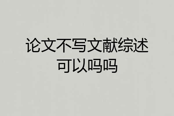 论文不写文献综述可以吗吗