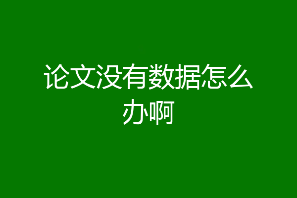 论文没有数据怎么办啊