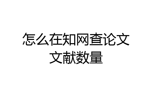 怎么在知网查论文文献数量
