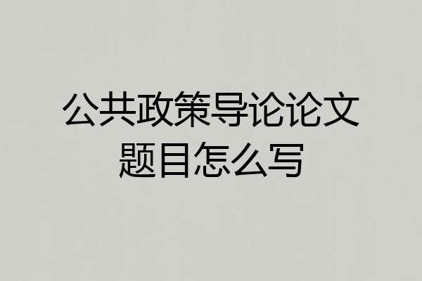 公共政策导论论文题目怎么写
