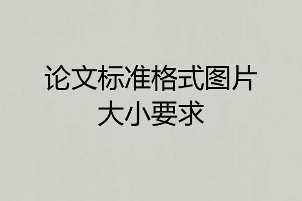 论文标准格式图片大小要求