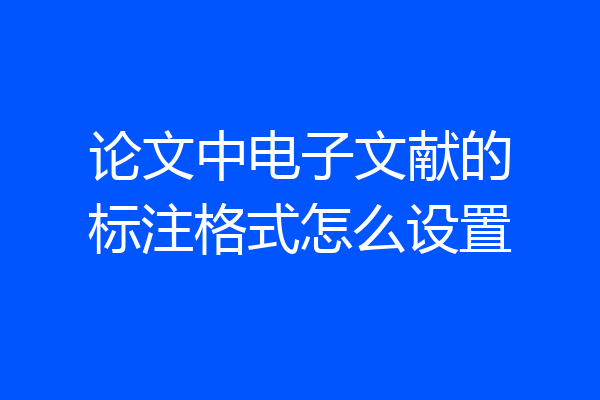 论文中电子文献的标注格式怎么设置