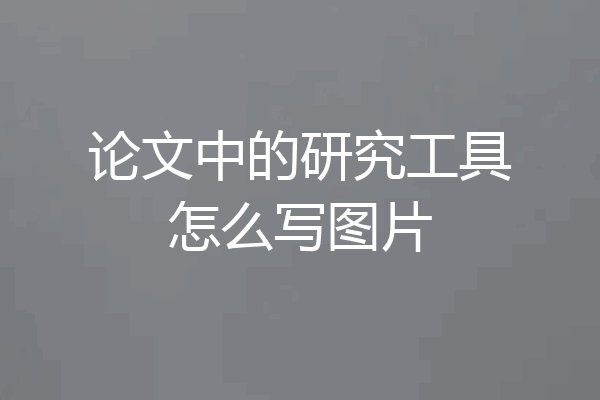 论文中的研究工具怎么写图片