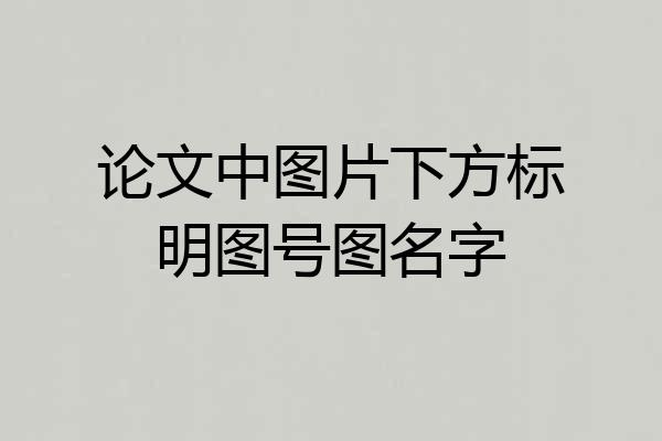论文中图片下方标明图号图名字