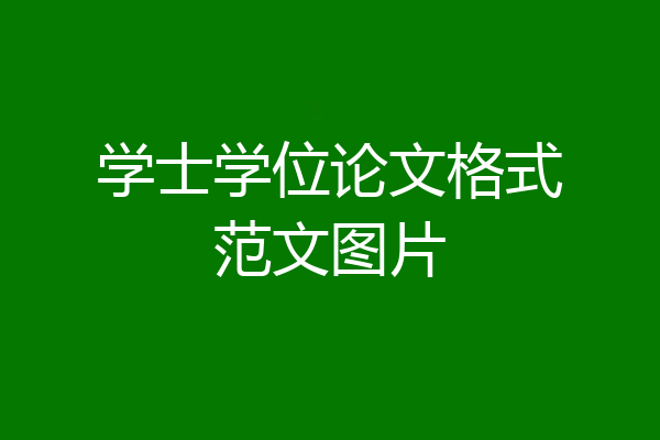 学士学位论文格式范文图片
