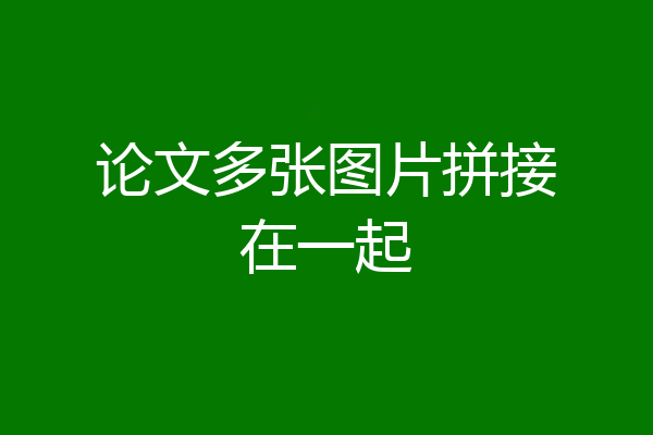 论文多张图片拼接在一起