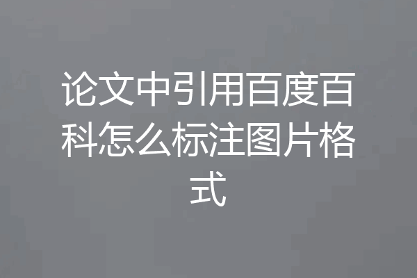 论文中引用百度百科怎么标注图片格式