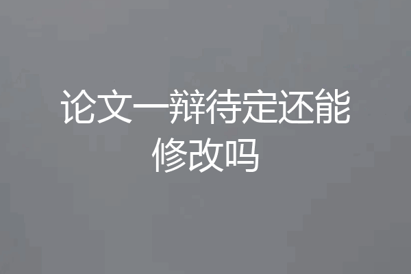 论文一辩待定还能修改吗