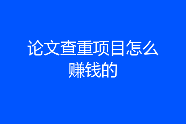 论文查重项目怎么赚钱的