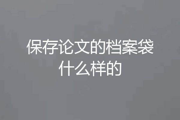 保存论文的档案袋什么样的