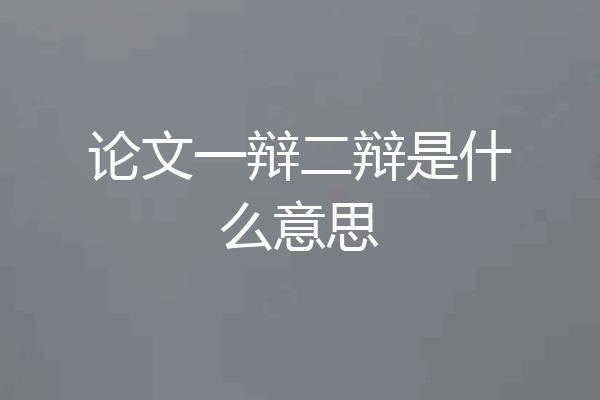 论文一辩二辩是什么意思