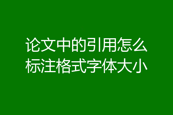 论文中的引用怎么标注格式字体大小