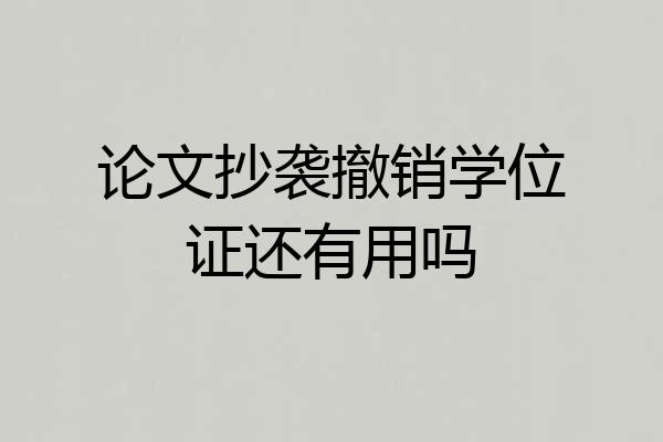 论文抄袭撤销学位证还有用吗