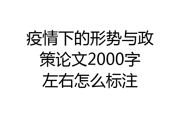 疫情下的形势与政策论文2000字左右怎么标注