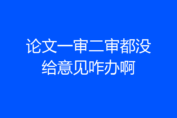 论文一审二审都没给意见咋办啊