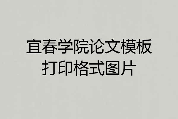 宜春学院论文模板打印格式图片